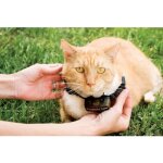 Petsafe - collier supplmentaire pour clture anti - fugu chat 4 niveaux de stimulation lger rglable ...