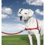Harnais - petsafe - easy walk - boucle anti - traction - 4 points de r�glage - rouge - m