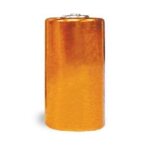 Petsafe pile alcaline 6 v pour collier - pour chat et chien