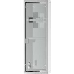 Kleankin - pharmacie - acier - 20x12x58cm - gris