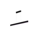 Philips hue white and color ambiance suspension ensis (8719514343368)