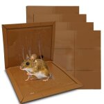 Pieges a colle souris rat glue attrape souris qualit� professionnelle glu extra forte aromatisee (4 plaques ...