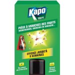 Piege  mouche des fruits