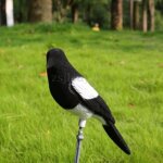 Piege pour nuisible - cage pour nuisible 1 pice leurre de pie