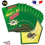 Pige raticide souricide glue colle anti souris rat rongeur anti parasitaire 2pcs