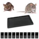 Piege a souris piege a rat colle plaques de glue anti rongeur alternative tapette raticide souricide ... Piege a souris piege a rat colle plaques de glue anti rongeur alternative tapette raticide souricide ...
