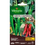 Vilmorin piment doux spadi