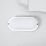 Plafonnier led ext�rieur ovale 15w white ip65 85x173 mm 6500k blanc froid
