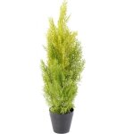 Plante artificielle haute gamme sp�cial ext�rieur - cypr�s artificiel coloris vert - jaune - dim : 60 ...