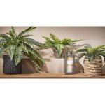 Plante artificielle palmier cycas dans un pot de fleurs stan - h33 x �34 cm - vert - mica decorations ...