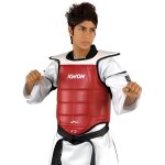 Plastron taekwondo reversible kwon rouge / bleu Plastron taekwondo reversible kwon rouge / bleu
