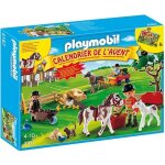 Playmobil 4167 calendrier de lavent ferme