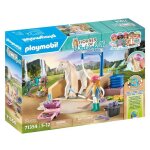 Playmobil 71354 isabella & lioness aire de lavage - horses of waterfall - d�s 5 ans - enfant - 86 pi�ces ...