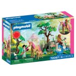 Playmobil 72067 journ�e avec les f�es les f�es promo pack 91 pi�ces d�s 4 ans