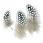 Plumes assortiment naturel 10 cm 50 pi�ces