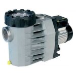 Pompe de filtration eurostar ii - speck pumpen - 0. 65 kw - 9m3 / h - gris