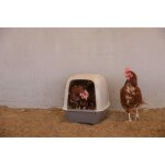 Pondoir pour poules - kerbl - 52 x 39 x 39 cm