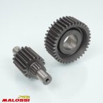 Pont arri�re de transmission malossi pour scooter honda 250 forza 2001 67 9983 / htq gears