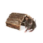 Relaxdays pont en bois pour rongeurs 40 x 65 cm accessoire pour cage lapins cochons d?inde hamsters nature ... Relaxdays pont en bois pour rongeurs 40 x 65 cm accessoire pour cage lapins cochons d?inde hamsters nature ...