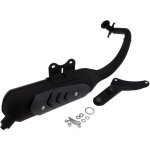 Pot dchappement polini original pour peugeot citystar 50cc django jetforce kisbee ludix 2 new vivacity ...