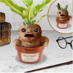 Pot - harry potter - mandrake root porte - stylo