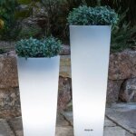 Pot lumineux solaire ficus 80 smarttech - newgarden - blanc - recharge solaire ou usb - télécommande Pot lumineux solaire ficus 80 smarttech - newgarden - blanc - recharge solaire ou usb - télécommande