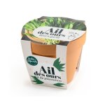 Pot en terre cuite antique - ail des ours
