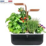 Potager dint�rieur v�ritable� smart copper inclus 4 lingots� : basilic grand vert persil fris� ciboulette ...
