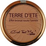 Poudre effet bronze terre dete