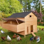Idmarket poulailler chalet xxl pour poules avec pondoir en bois