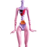 Poupée mannequin monster high bjr25 avec transformation Émotion enivrante - douteuse Poupée mannequin monster high bjr25 avec transformation Émotion enivrante - douteuse