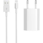 Adaptateur secteur + chargeur - non spécifié - lightning - 1m - blanc - iphone compatible 4 à 14