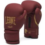 Prot�ge - tibias kick - boxing leone dna full - noir - taille m