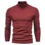 Pull � col roul� homme en tricot manches longues casual pullover chaud confortable couleur unie automne ...
