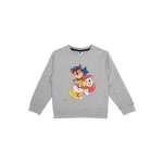 Pull pour garon paw patrol: la pat patrouille - sweat - shirt pour enfant haut pour enfant