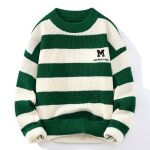Pull homme insfity - vert bicolore à rayures - col rond et manches longues Pull homme insfity - vert bicolore à rayures - col rond et manches longues