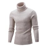 Pull homme - leoclotho - col roul - beige - homme - adulte