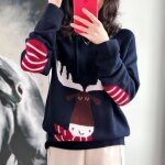 Pull en laine sauvage  capuche - funmoon - hiver nol - bleu marin - mixte - adulte