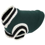 Pull de style campus pour chiens - mxzzand - vert - tricot� - col en v