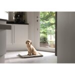 Puppy traner starter kit large
