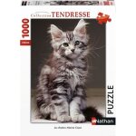 Puzzle 1000 pices - nathan - chaton maine coon - animaux - adulte