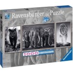 Puzzle 1000 pièces - triptyque panthère Éléphant lion - ravensburger - puzzle adultes Puzzle 1000 pièces - triptyque panthère Éléphant lion - ravensburger - puzzle adultes