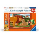 Puzzles 2x24 pices : le roi lion : lhistoire de la vie