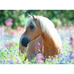 Puzzle 300 pi�ces xxl : cheval dans la prairie