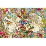 Puzzle 3000 pices : carte de la flore et de la faune