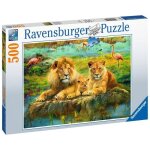 Puzzle 500 pices - lions dans la savane - ravensburger - pour adultes et adolescents