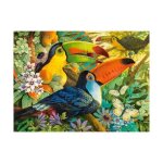 Puzzle adulte 3000 pieces famille de toucans dans les arbres - collection animaux et oiseaux