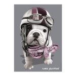 Puzzle adulte chien teo jasmin - 1000 pieces - collection animaux photo d art