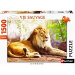 Puzzle adulte le roi des animaux : lion couche - 1500 pieces collection vie sauvage - nathan animaux ...