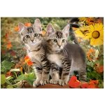 Puzzle adulte 2 adorables chatons dans la nature - 1500 pieces - collection animaux familiers - nouveaute ...